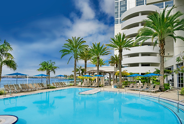 hilton Hotel image